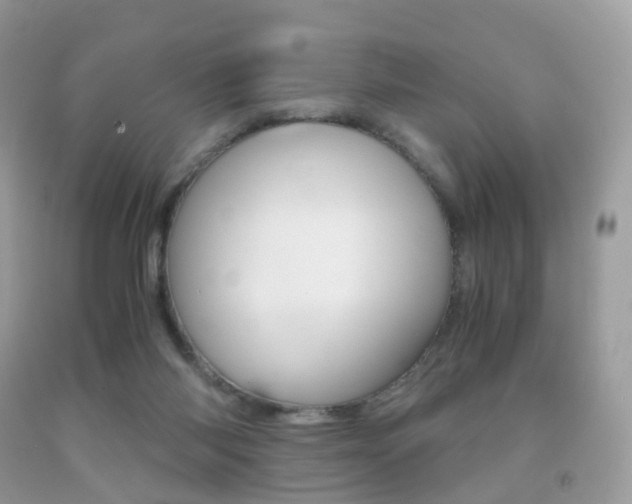 X0000091940118200709051310