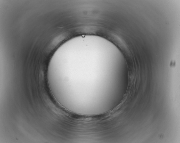 X0000091940120200709051310