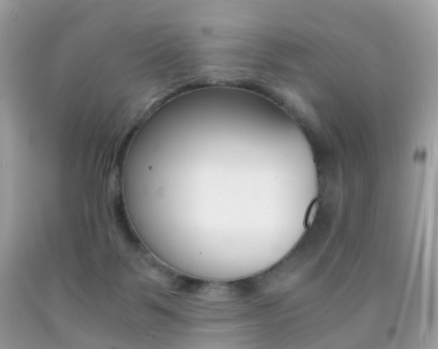 X0000091940123200709051310