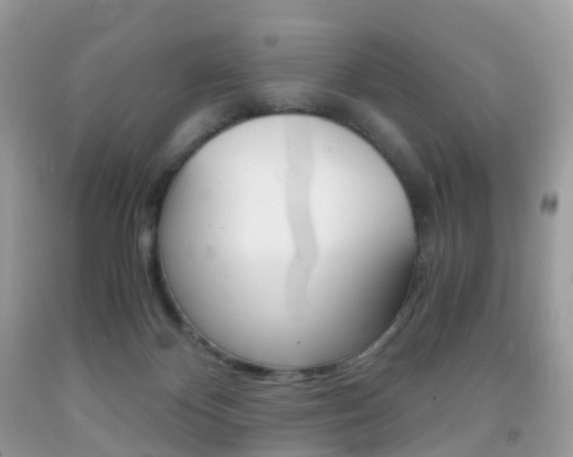 X0000091940124200709051310