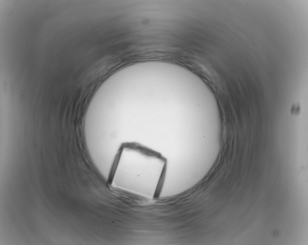 X0000091940125200709051310