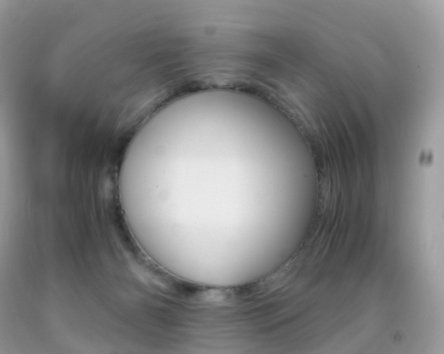 X0000091940126200709051310