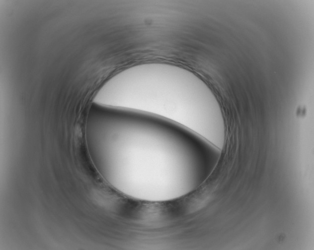 X0000091940127200709051310