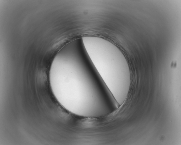 X0000091940128200709051310