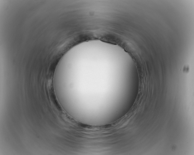 X0000091940129200709051310