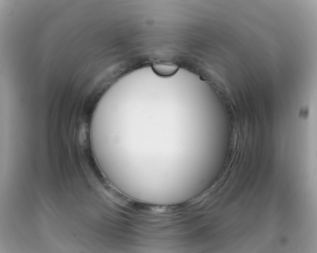 X0000091940130200709051310