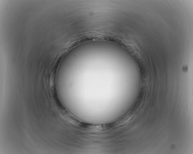 X0000091940131200709051310