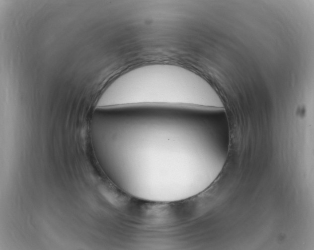 X0000091940132200709051310