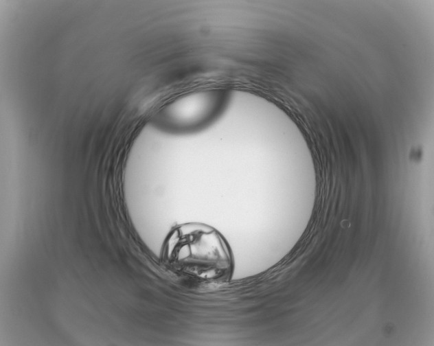 X0000091940137200709051310