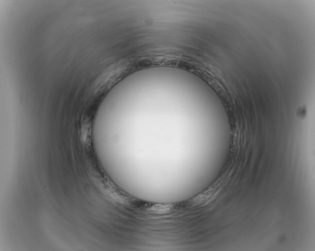 X0000091940138200709051310