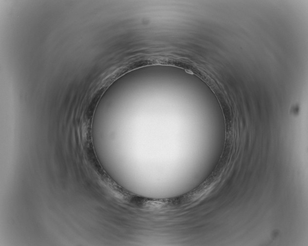 X0000091940139200709051310