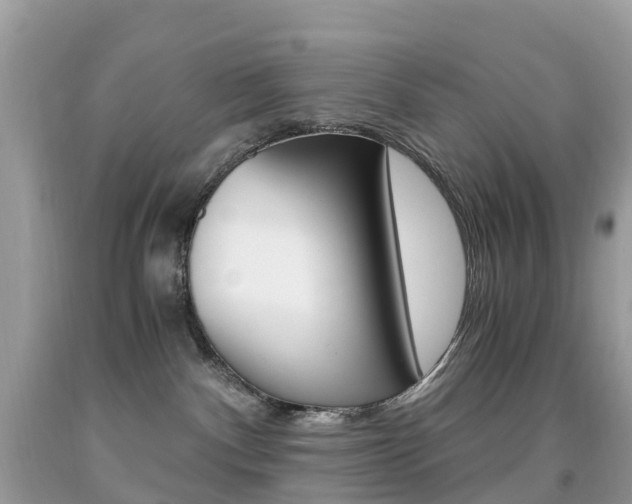 X0000091940140200709051310