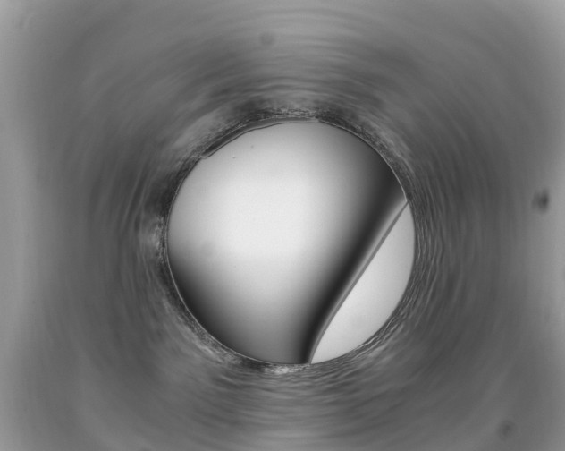 X0000091940141200709051310