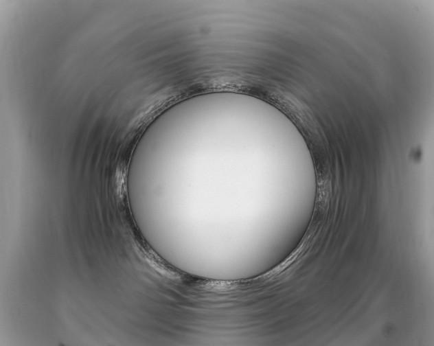 X0000091940142200709051310