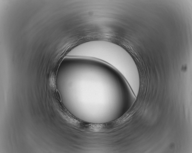 X0000091940143200709051310