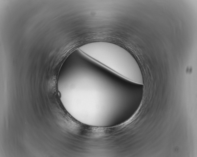 X0000091940144200709051310