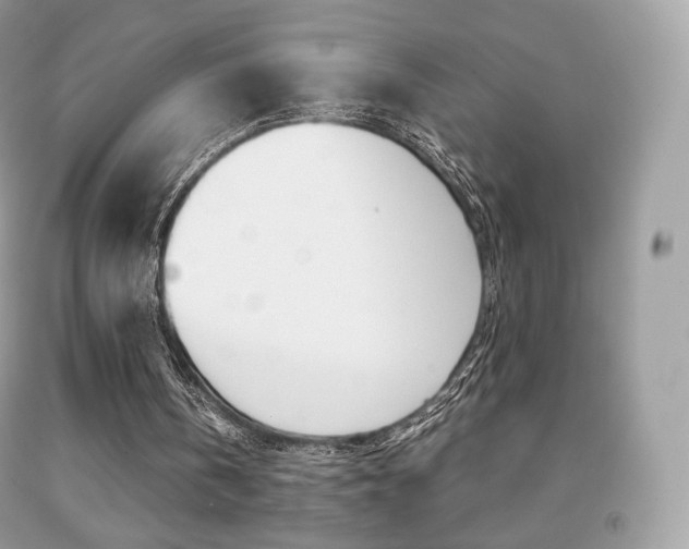 X0000091940146200709051310