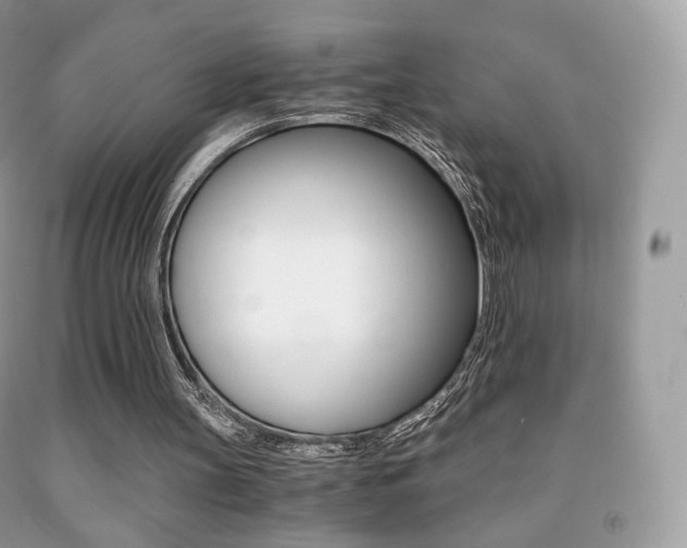 X0000091940147200709051310