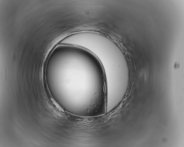 X0000091940148200709051310