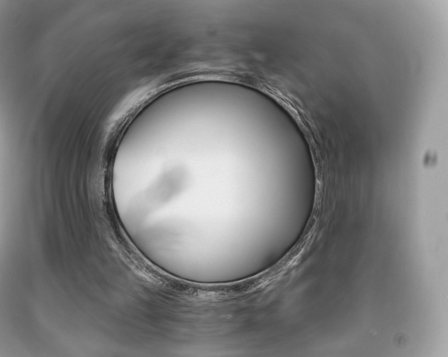 X0000091940149200709051310