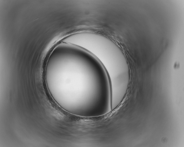 X0000091940150200709051310