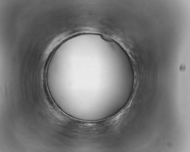 X0000091940151200709051310