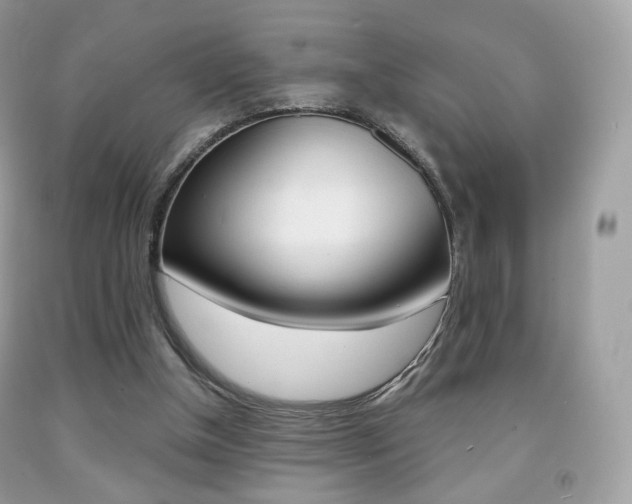 X0000091940154200709051310