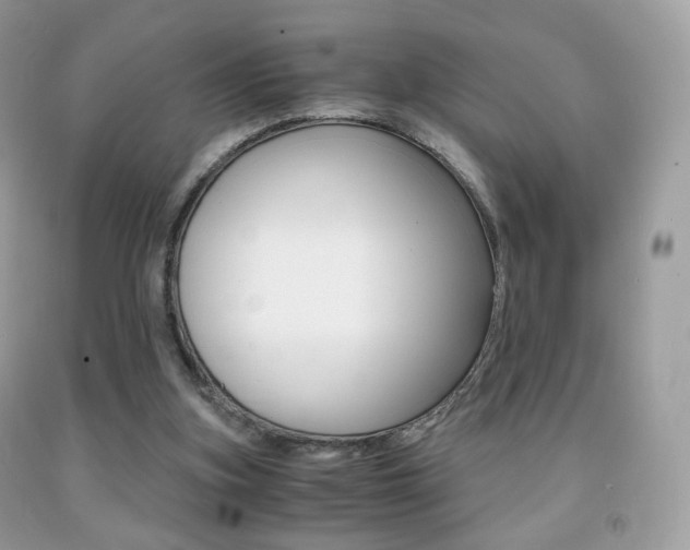 X0000091940155200709051310