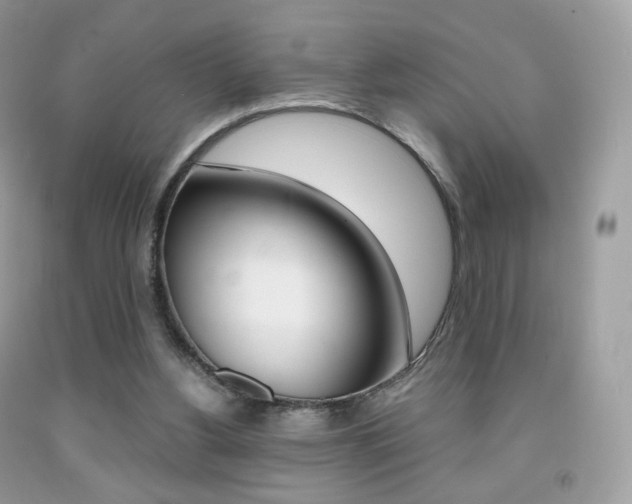 X0000091940156200709051310