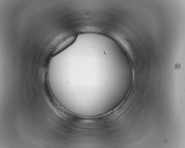 X0000091940157200709051310