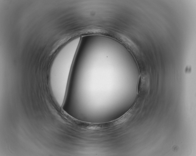 X0000091940158200709051310