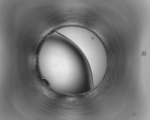 X0000091940160200709051310