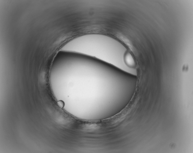 X0000091940161200709051310