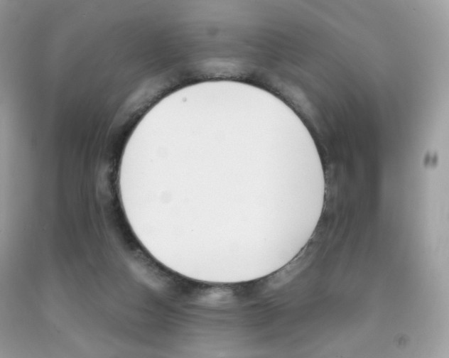 X0000091940162200709051310