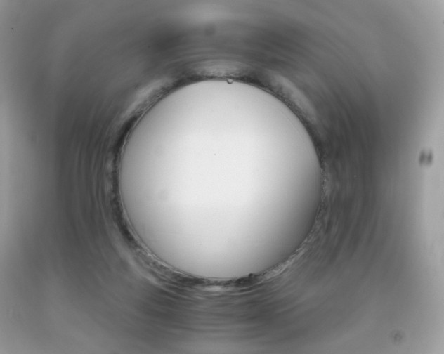 X0000091940163200709051310