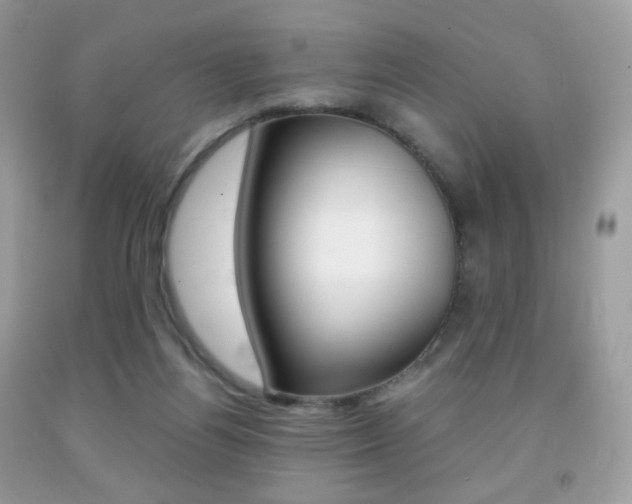 X0000091940164200709051310