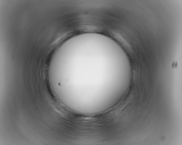 X0000091940165200709051310