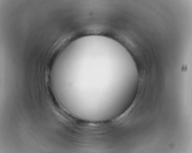 X0000091940166200709051310