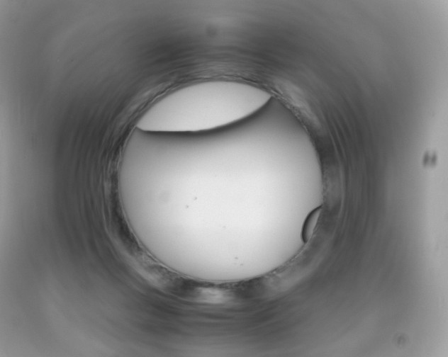 X0000091940167200709051310