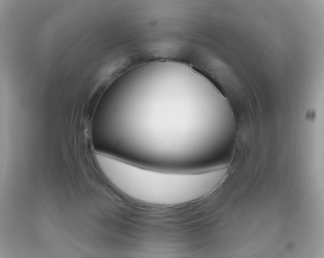 X0000091940172200709051310