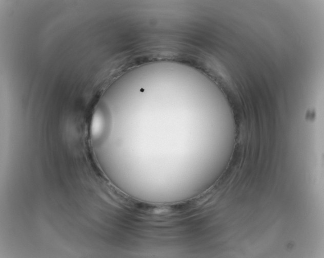 X0000091940173200709051310