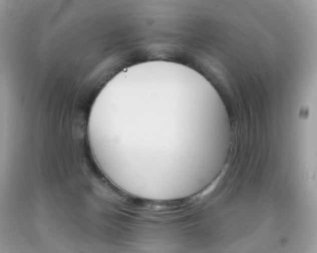 X0000091940174200709051310