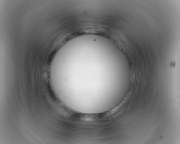 X0000091940175200709051310