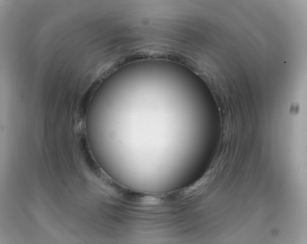 X0000091940176200709051310