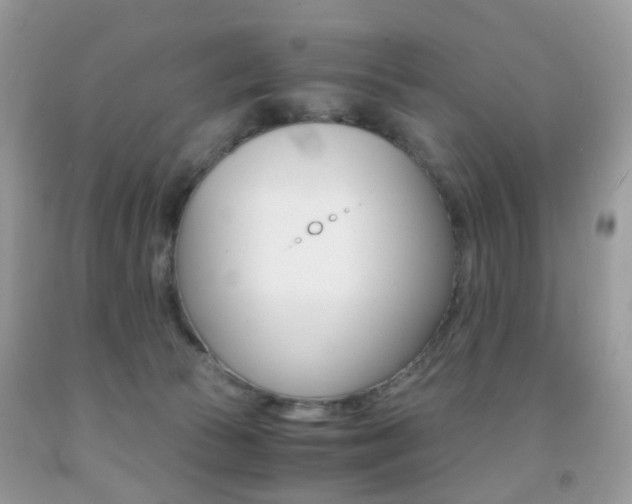 X0000091940177200709051310