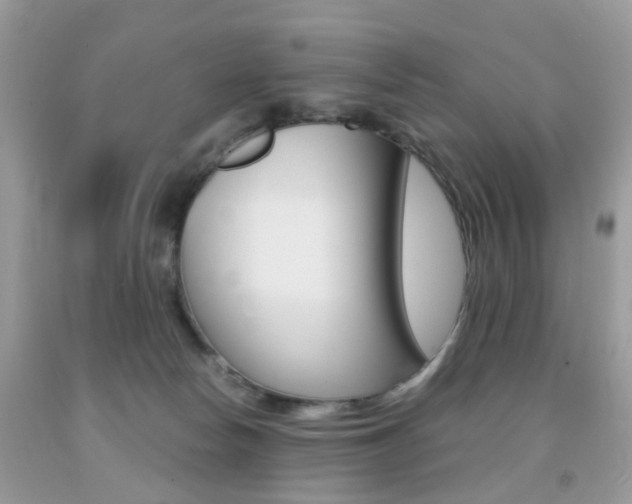 X0000091940178200709051310