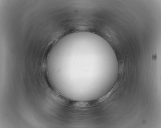 X0000091940179200709051310