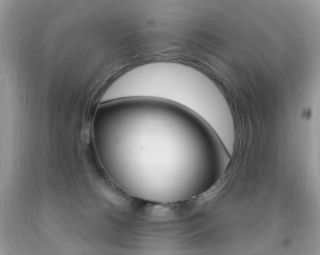 X0000091940180200709051310