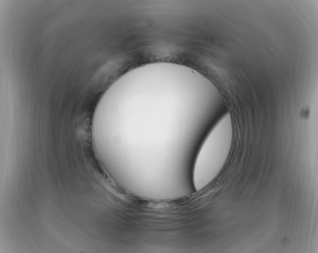 X0000091940181200709051310