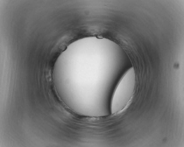 X0000091940182200709051310